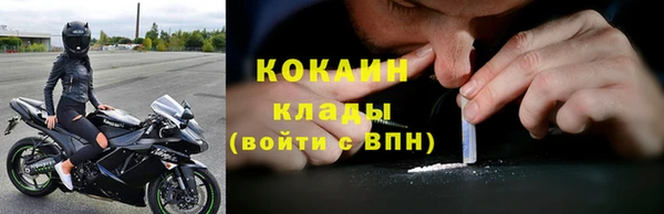 ГАЛЛЮЦИНОГЕННЫЕ ГРИБЫ Аркадак
