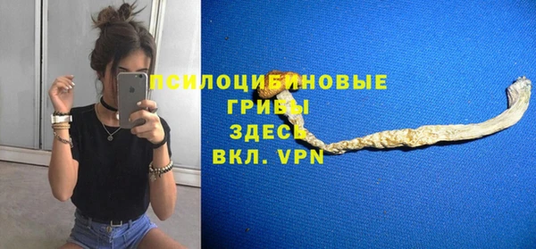 ГАЛЛЮЦИНОГЕННЫЕ ГРИБЫ Аркадак