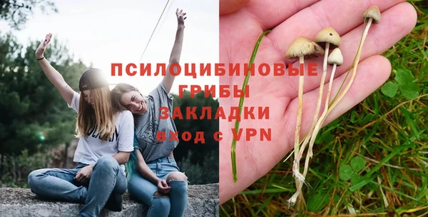 ГАЛЛЮЦИНОГЕННЫЕ ГРИБЫ Аркадак