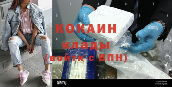 ГАЛЛЮЦИНОГЕННЫЕ ГРИБЫ Аркадак