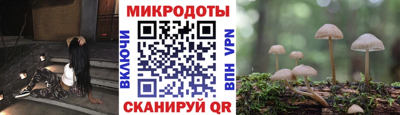 мориарти как зайти  Удачный  Галлюциногенные грибы мицелий 